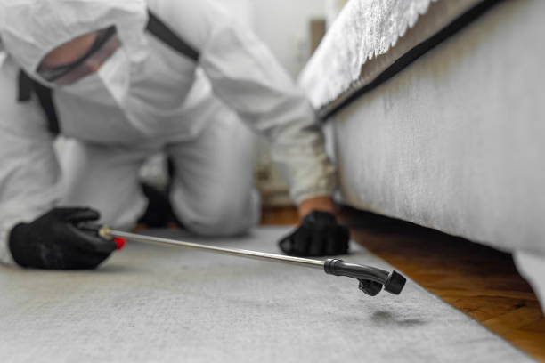 Professional Emergency Pest Control technician working in Narragansett Pier, RI