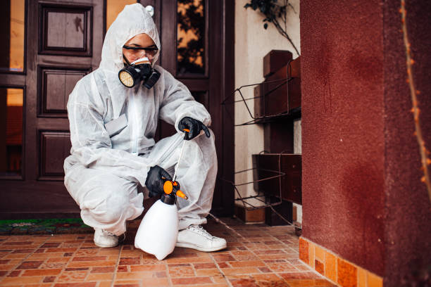 Reliable Emergency Pest Control contractor in Narragansett Pier, RI by Nex Pest Control
